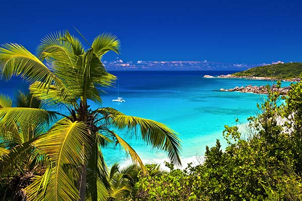Caribbean_Ocean_Palm-trees_Catamaran-Aug2017