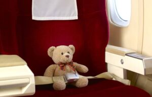 Teddy bear in first class seat -cm