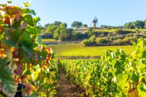 15 September 2019. View of Sorine Mill in Burgundy, France.-cm